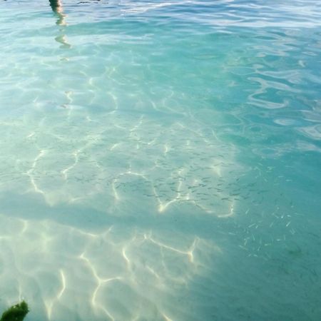 Hotel Hidden Island Glamping Isla Mujeres Extérieur photo