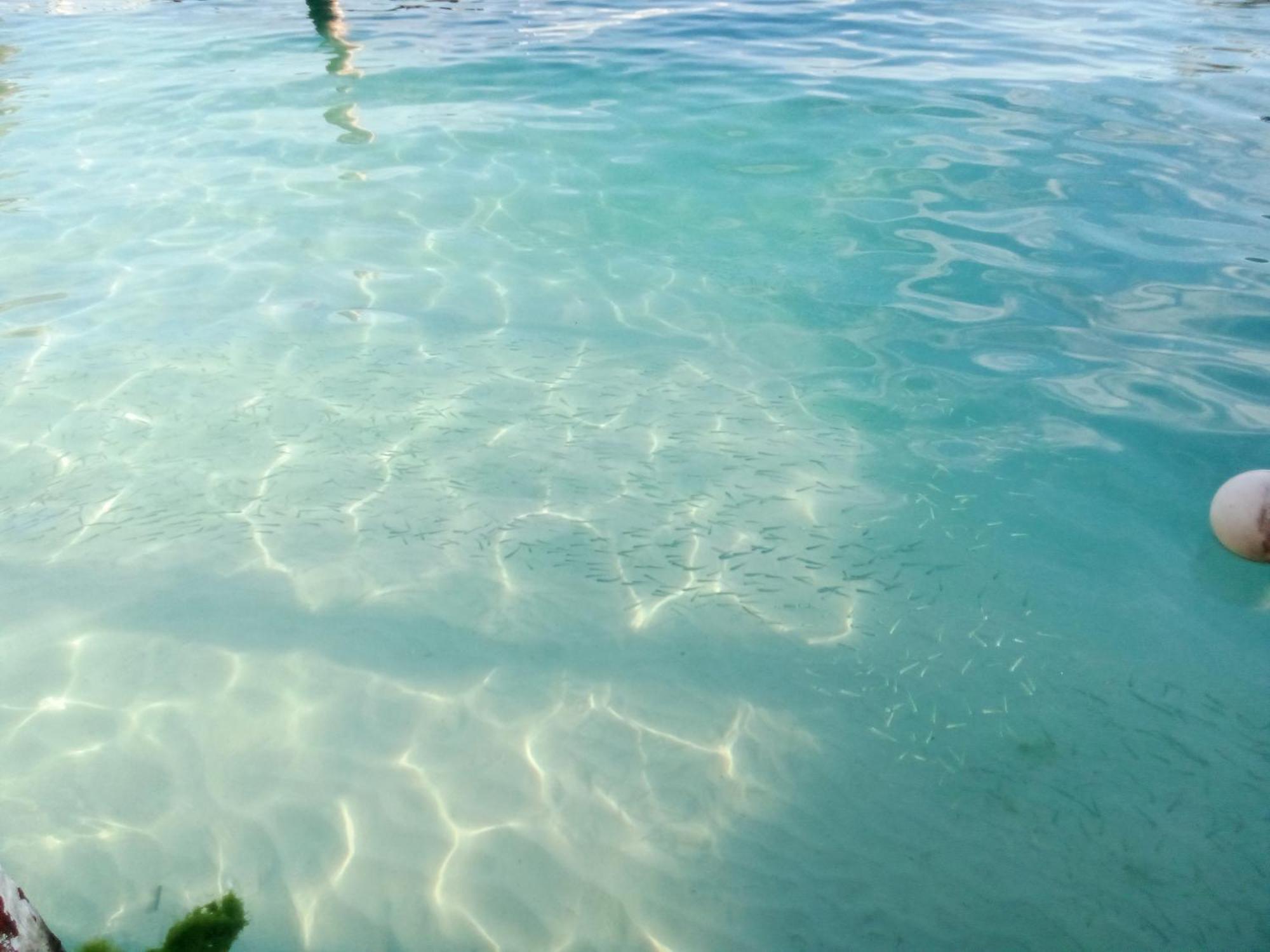 Hotel Hidden Island Glamping Isla Mujeres Extérieur photo